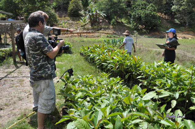Wildopeneye filming a reforestation project in Sabah, Malaysian Borneo.